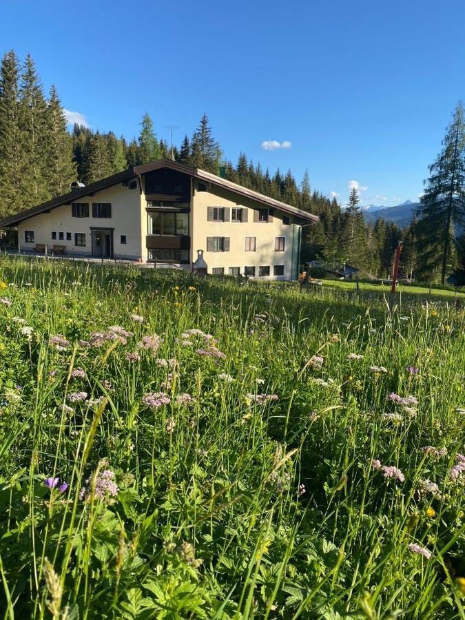 Appartementhaus Hochkoenig - Panoramablick Muhlbach Am Hochkonig Exterior photo