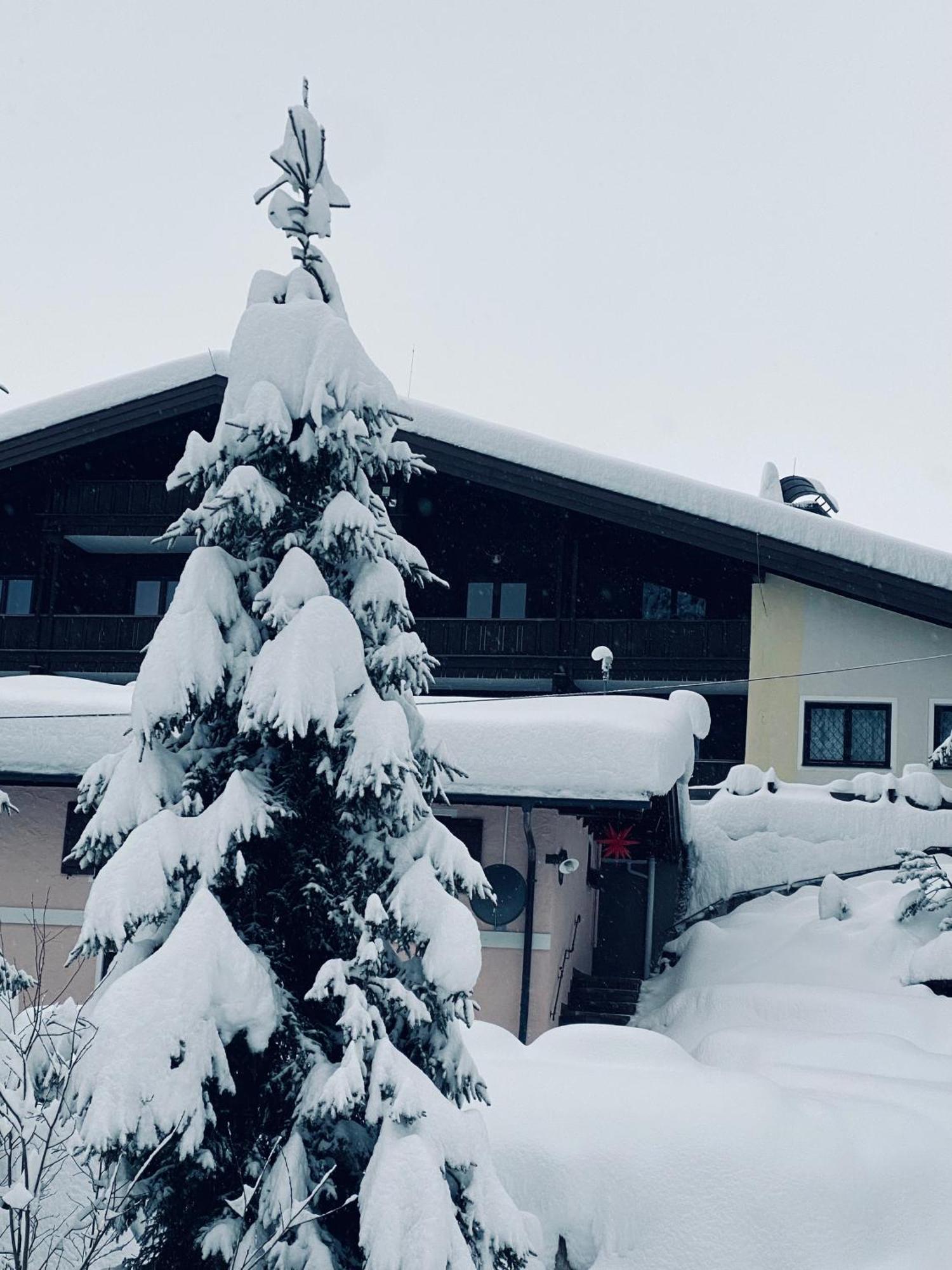 Appartementhaus Hochkoenig - Panoramablick Muhlbach Am Hochkonig Exterior photo