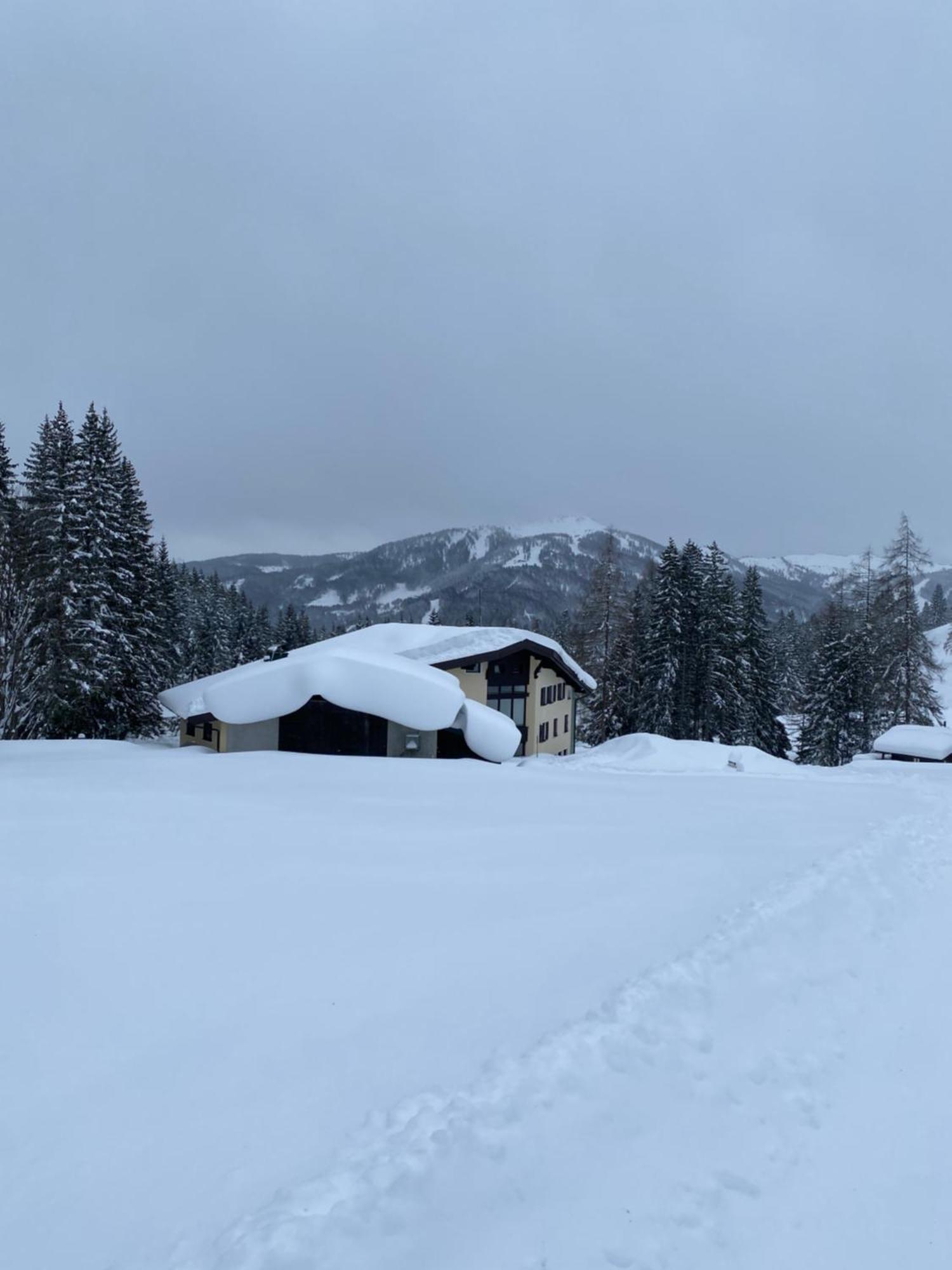 Appartementhaus Hochkoenig - Panoramablick Muhlbach Am Hochkonig Exterior photo